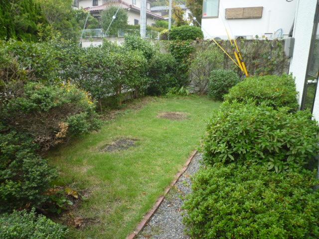 Garden. Indoor (10 May 2013) Shooting