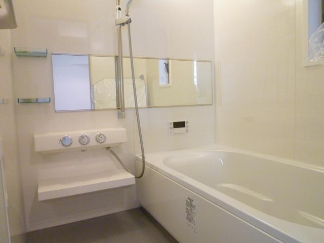 Bathroom. Indoor (10 May 2013) Shooting