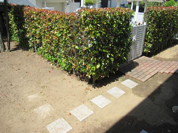 Garden. Local (May 2013) Shooting