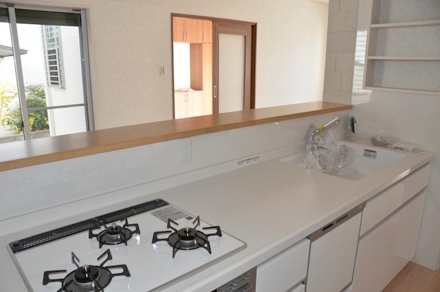 Kitchen. Counter Kitchen