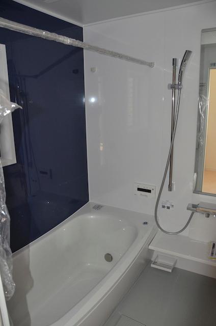 Bathroom. Spacious spacious bathroom