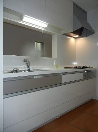 Same specifications photo (kitchen). Other issue areas