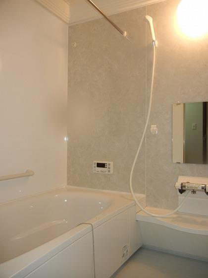Same specifications photo (bathroom). Other issue areas
