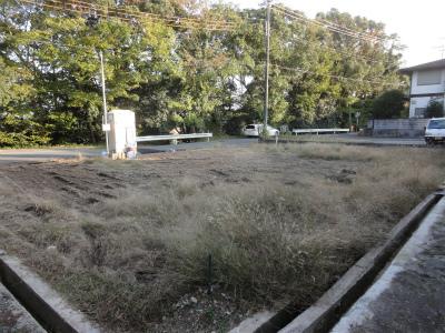 Local appearance photo. Local (11 May 2013) shooting local