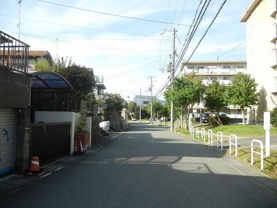 Local photos, including front road. Local (10 May 2013) Shooting