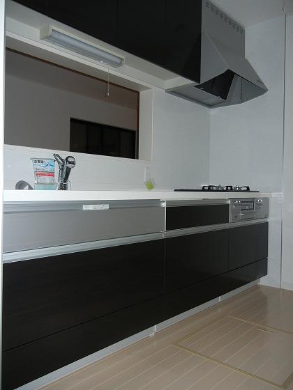 Same specifications photo (kitchen). Other issue areas