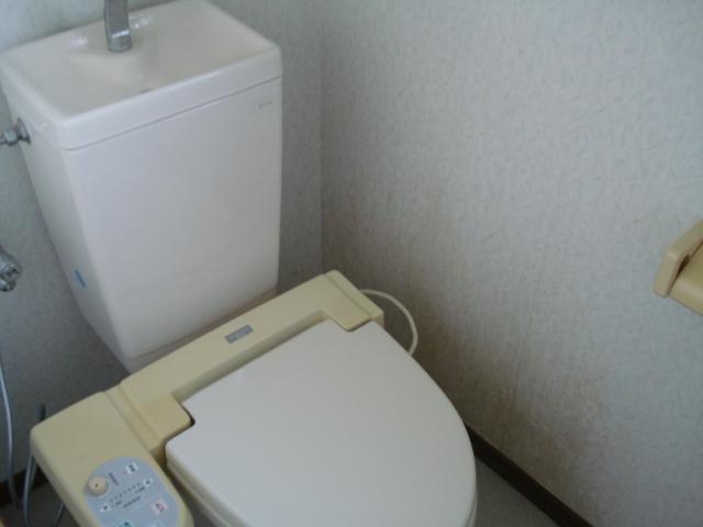 Toilet. Room (August 2013) Shooting