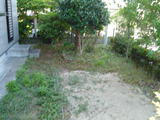 Garden. Local (August 2013) Shooting