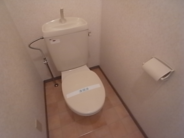 Toilet. Toilet