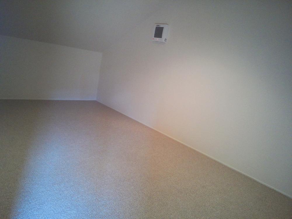 Other introspection. Attic storage (December 2013) Shooting