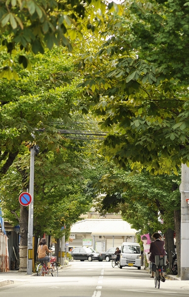 Through a quiet residential area to JR Koshienguchi. It is easy to walk way is attractive in the flat route (JR Kobe Line "Koshienguchi" Bahnhofstrasse 9 minute walk ・ About 710m)