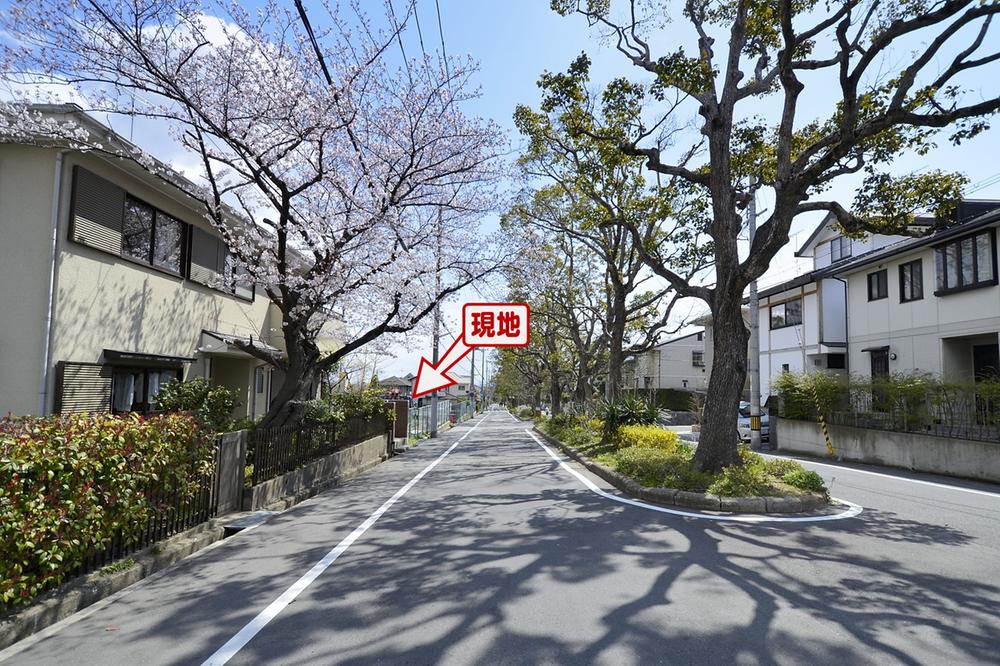 Local photos, including front road. Facing the south side of the local "tree street camphor" road width is there 14.8m, Always bright sunlight pours (April 2012 shooting)