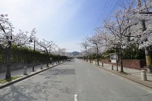 Mansion district in Nishinomiya, One of Nishinomiya seven kindergartens "Kotoen". The early spring, Kinoehigashi Bairin that about 200 pieces of plum blossoms in full bloom (about 400m), Kwansei Gakuin University main gate before the cherry blossoms of the tunnel ・ Gakuen flower street, etc., This feeling is a quiet street in the skin time to time in the beauty of nature four seasons. Is harmonious beauty of the rich natural and city, This land to collect the high popularity as a residential area, I would say with the appropriate living environment to build a house of permanent residence.