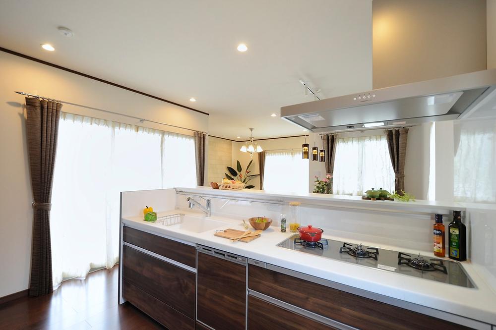 Kitchen. Kitchen (local model house)