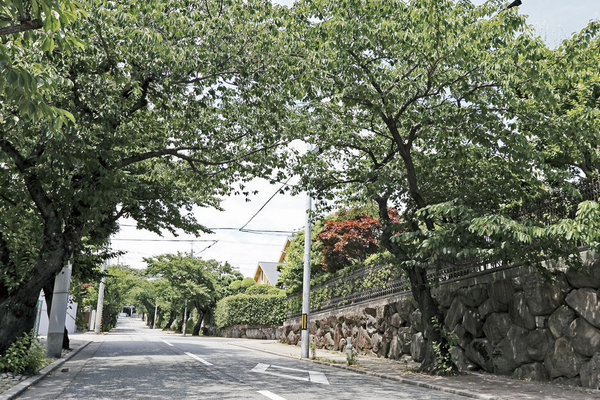 Surrounding environment. Quaint quiet mansion district, Pleasure and pain Gardens (local neighborhood photo / A 10-minute walk ・ About 750m)
