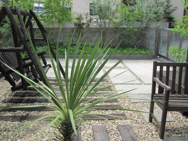 Other local. Local (12 May 2013) Shooting