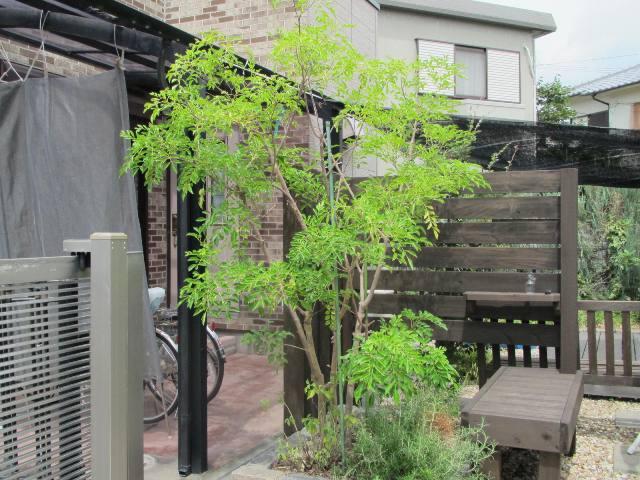 Other local. Local (12 May 2013) Shooting