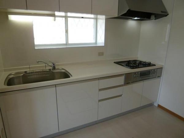 Kitchen. Stand-alone system Kitchen