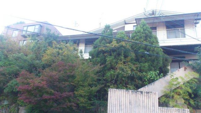 Local appearance photo. appearance