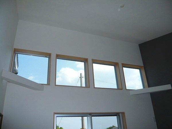 Living. Wall of the living south, Windows are many daylight plenty. 