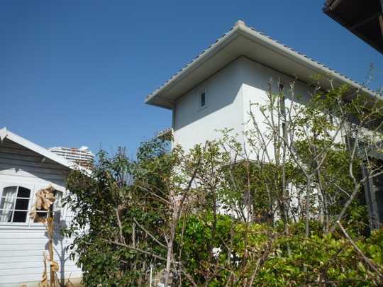 Local appearance photo. appearance