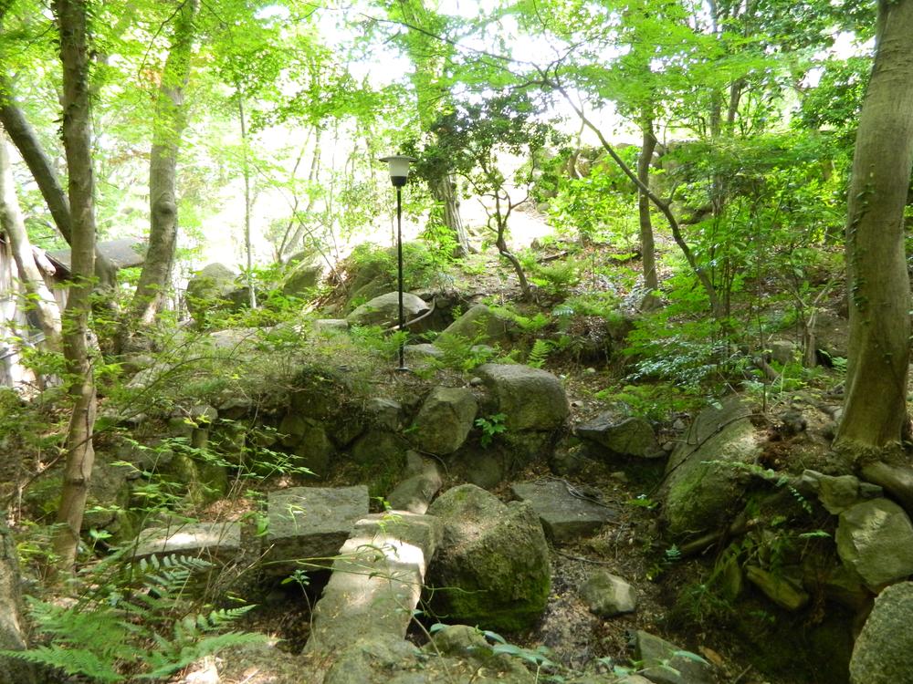 Garden. Local (June 2013) Shooting