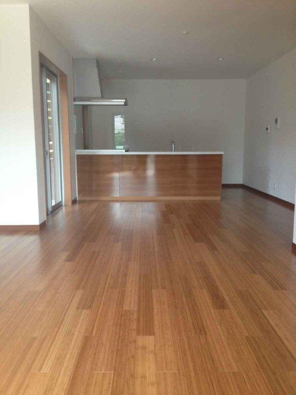 Living. Indoor (June 2013) Shooting