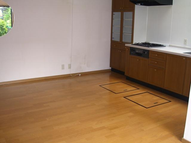 Living. Indoor (11 May 2013) Shooting