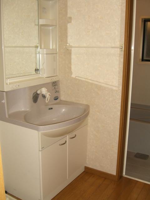 Wash basin, toilet. Indoor (11 May 2013) Shooting