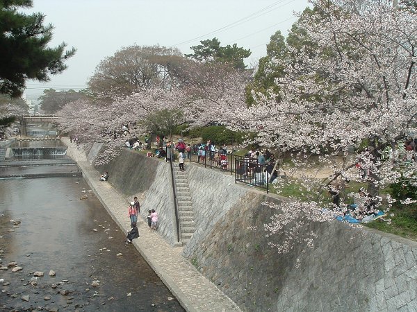 park. 370m until Shukugawa park (park)