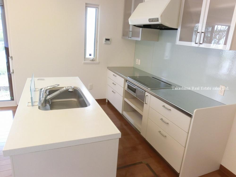 Kitchen. Island Kitchen adoption