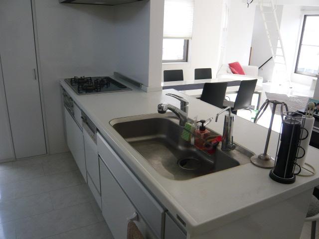 Kitchen. Indoor (January 2013) Shooting