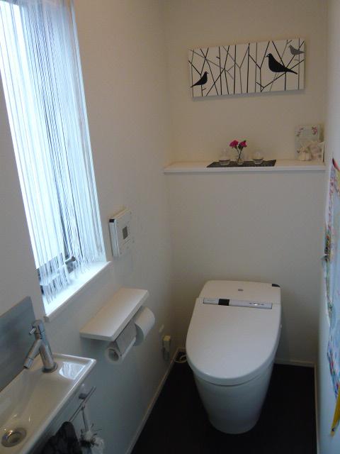 Toilet. Indoor (January 2013) Shooting