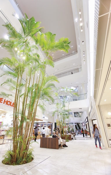 Blow-by-store hall, Lined with shops of various genres on both sides, Fun just walking
