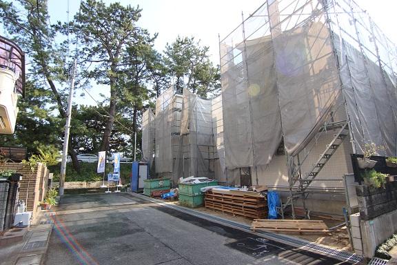 Local photo (2013 November shooting)