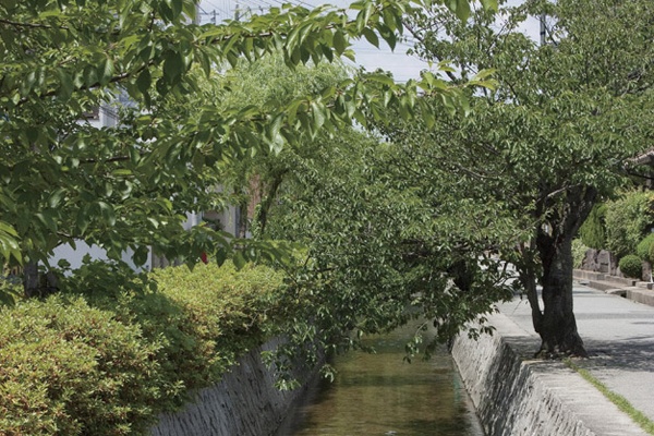 Surrounding environment. Shinbori River (a 5-minute walk ・ About 400m)
