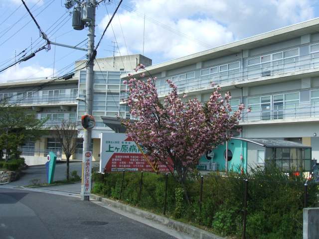 Hospital. UekeHara 129m to the hospital (hospital)