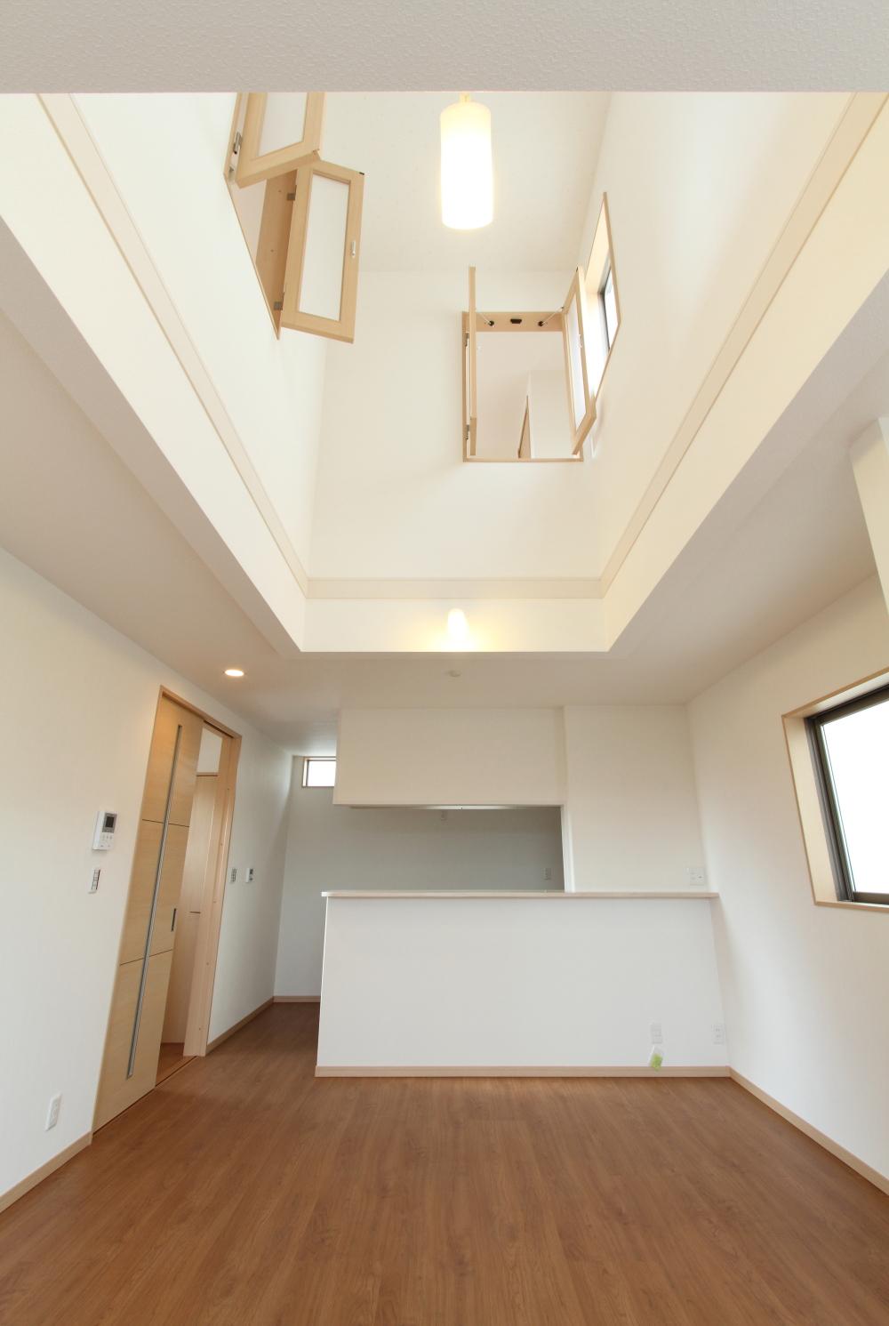 Living. Atrium plugging of light