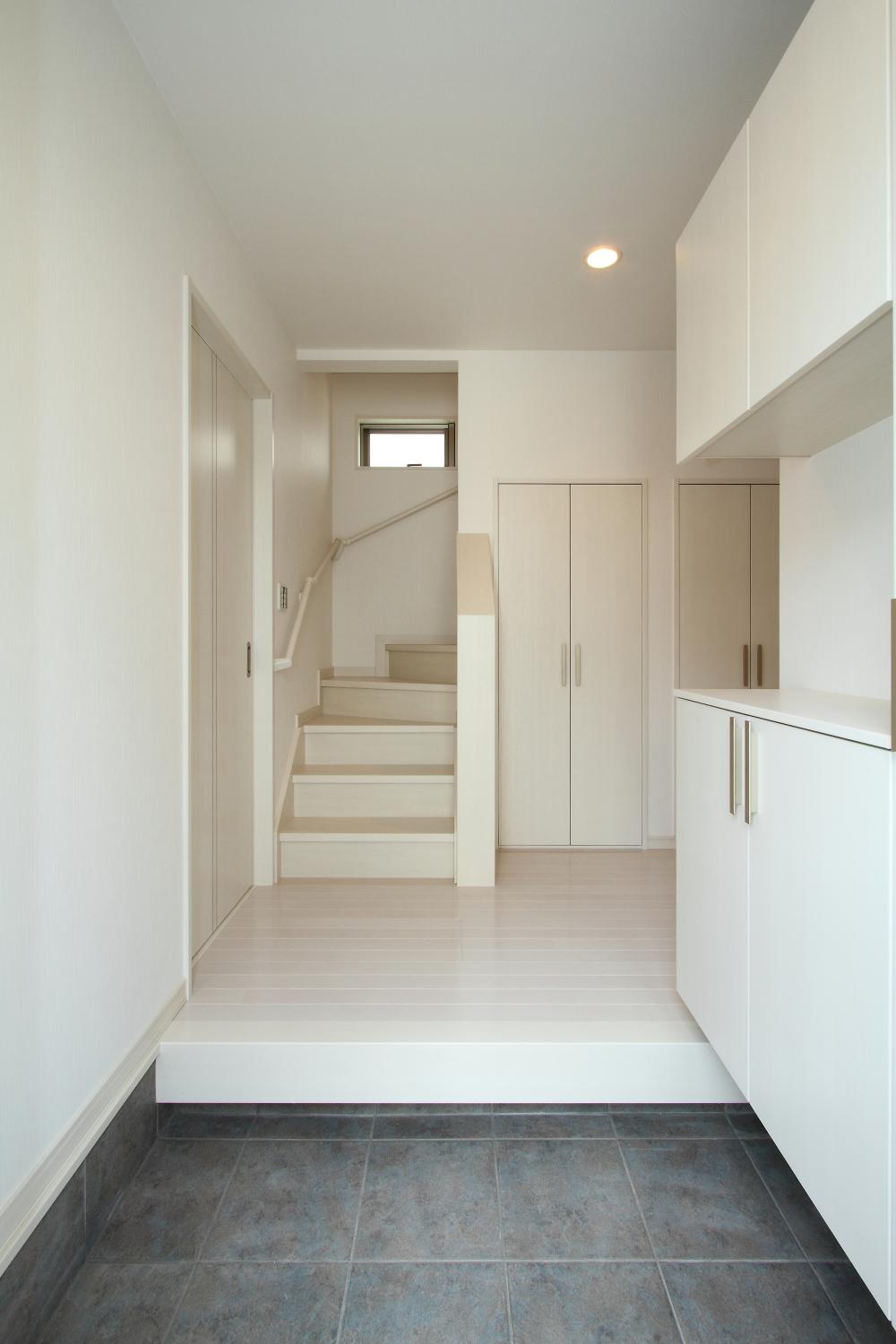 Entrance. Free design compatible