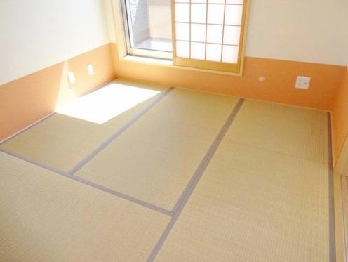 Other introspection. Japanese style room