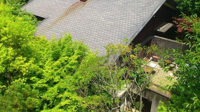 Local appearance photo. appearance