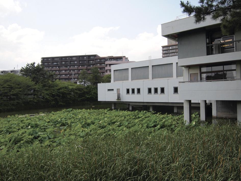 Other Environmental Photo. Shukugawa 1031m to community center