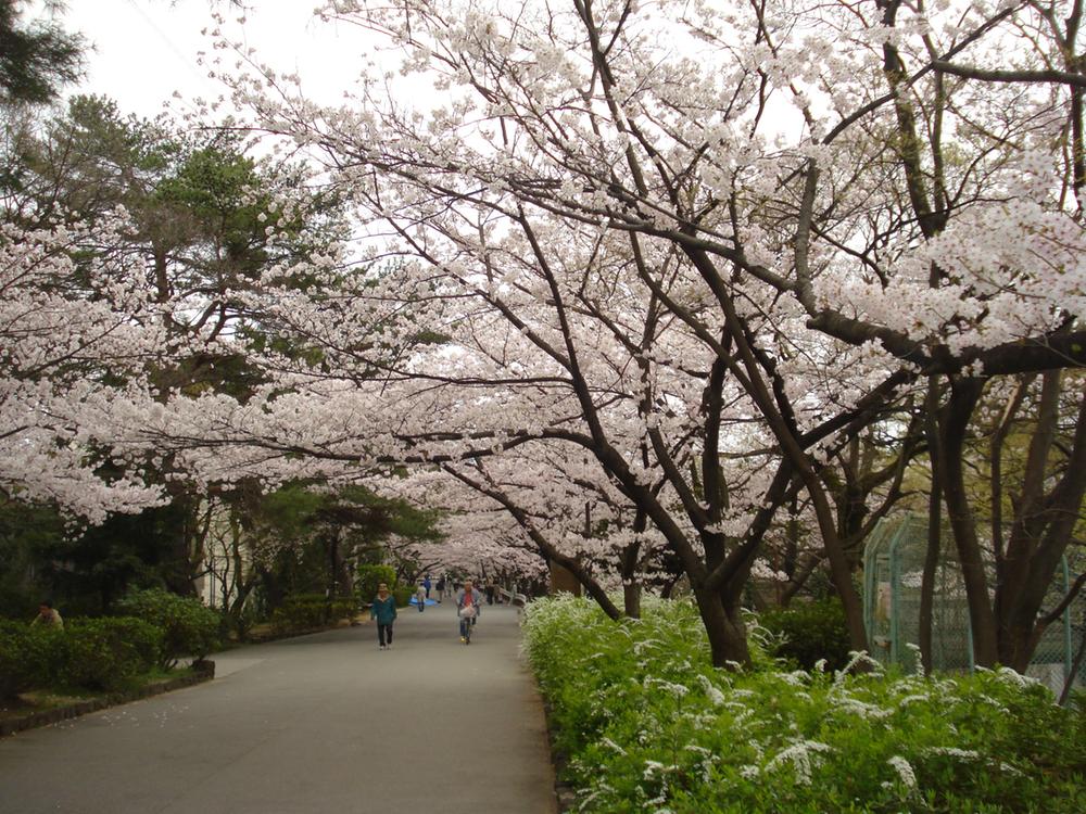 Other. Shukugawa Oasis Road