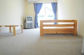 Living and room. Carpet of the room.