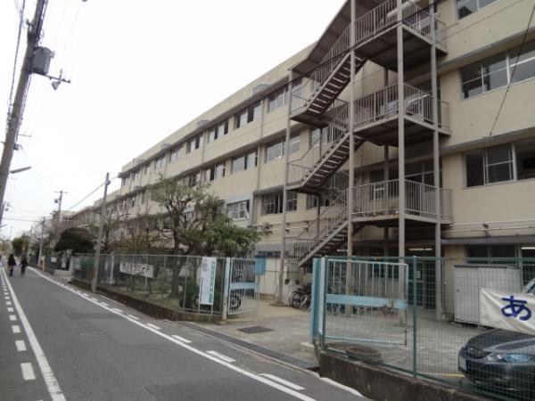 Junior high school. 800m up to junior high school junior high school Hamawaki