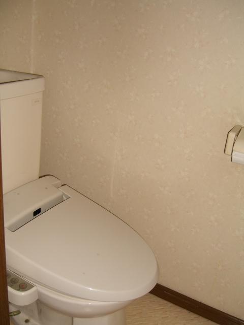 Toilet. Room (August 2013) Shooting