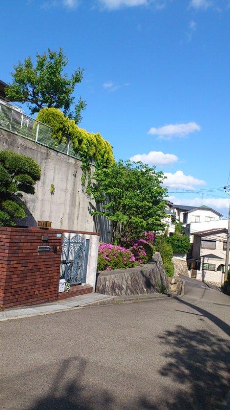 Local photos, including front road