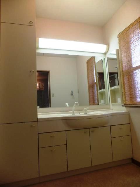 Wash basin, toilet. Bathroom vanity