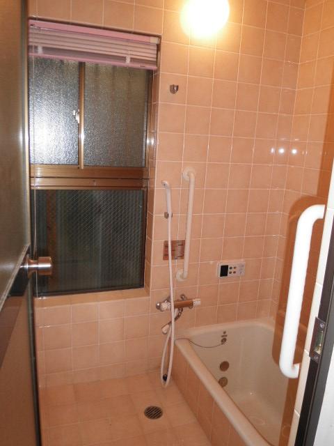 Bathroom. Bathroom ((November 2013) Shooting