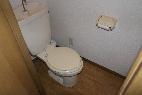Other. Toilet